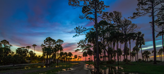 beautiful nature on hunting island south carolina © digidreamgrafix