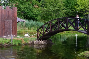 Fototapeta na wymiar a small wooden bridge on the lake