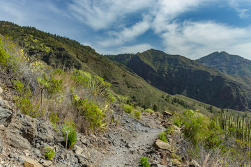 Fototapeta premium Stony path at upland surrounded by endemic plants. Sunny day. Clear blue sky and some clouds above the mountains. Rocky tracking road in dry mountain area. Tenerife