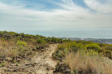 Stony path at upland surrounded by endemic plants. Sunny day. Clear blue sky and some clouds above...