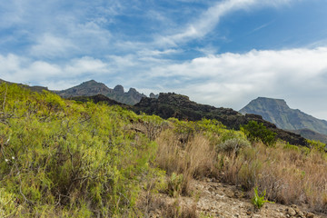 Fototapeta na wymiar Stony path at upland surrounded by endemic plants. Sunny day. Clear blue sky and some clouds above the mountains. Rocky tracking road in dry mountain area. Tenerife