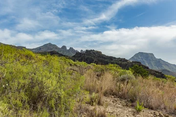 Foto op Canvas Stony path at upland surrounded by endemic plants. Sunny day. Clear blue sky and some clouds above the mountains. Rocky tracking road in dry mountain area. Tenerife © Yury