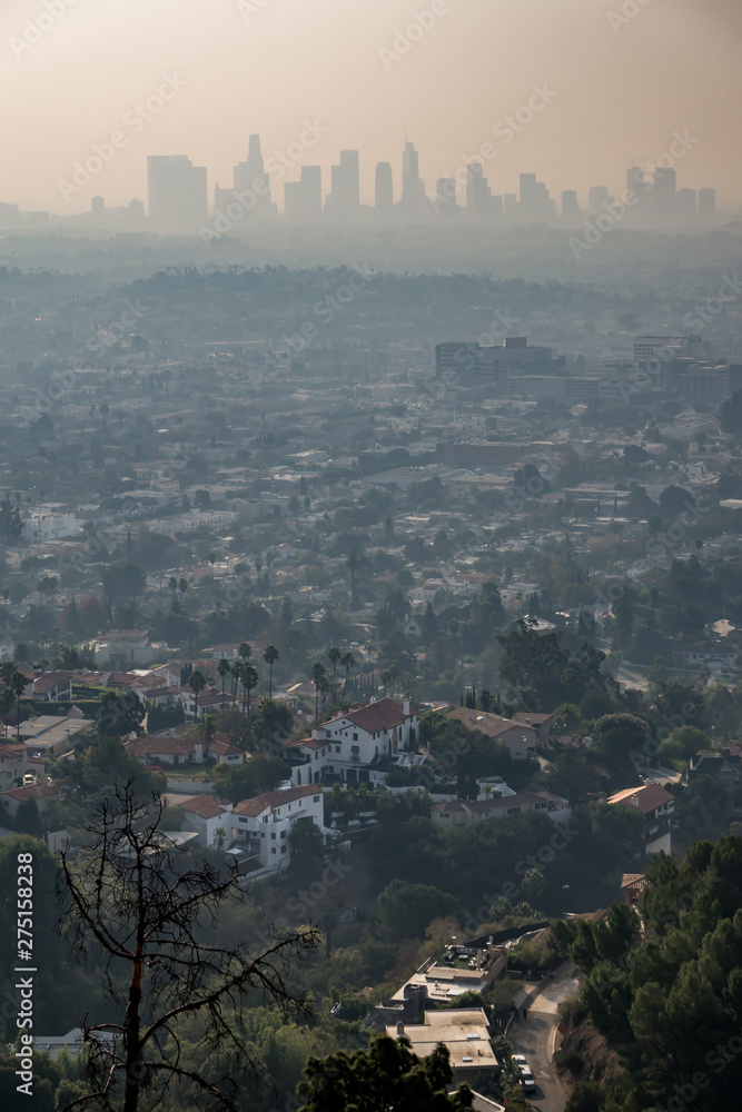 Canvas Prints los angeles skyline and suburbs wrapped in smoke from woosle fires in 2018