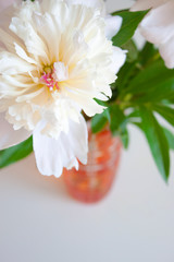 Floral background. White peonies in a red glass vase