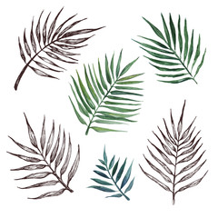 Hand drawn watercolor set of tropical leaves 