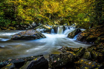 Fototapeta na wymiar picturesque scenery from virginia creeper trail in autumn