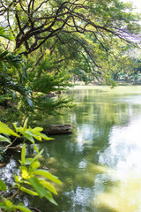 Lake View of Beautiful Lumpini Park in Bangkok Thailand