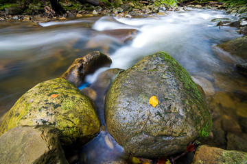 Fast flowing through wild green forest river with crystal clear smooth silky water falling from big wet stones in beautiful waterfalls on bright sunny summer day. Long exposure shot.