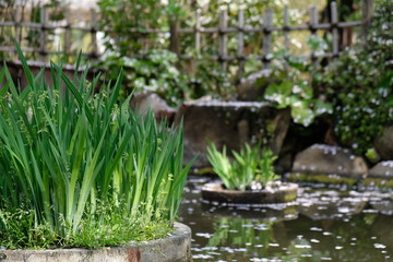 Japanese Garden Hiroshima