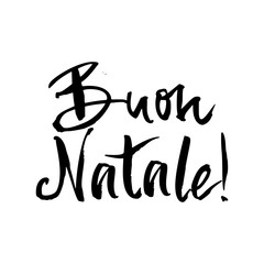 Vector hand drawn ink lettering phrase.