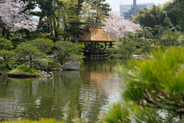 Fototapeta na wymiar shukkei-en Hiroshima, Japanese Garden