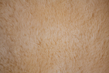 light brown sheep fleece felt fell skin
