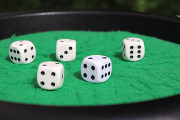 Jeu de Yams - Jeu de dés sur un tapis vert