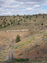 A small rural road descends down a hill to farmland in Central Oregon on sunny summer day.