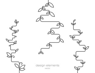 Geometric liana with leaves. Design objects.