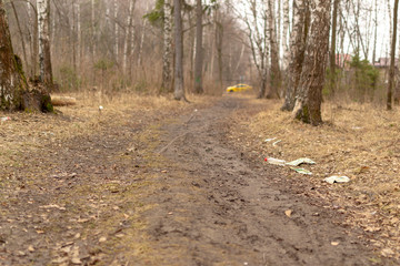 Rubbish left by people in the park after a visit.