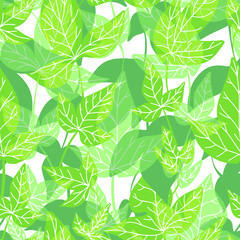 Vector seamless pattern with drawing green leaves, artistic botanical illustration, isolated floral elements, hand drawn illustration. Repeatable baackground with liana.