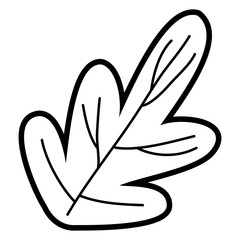 Isolated leaf design vector illustrator