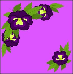 Square postcard of purple pansies on a pink background.