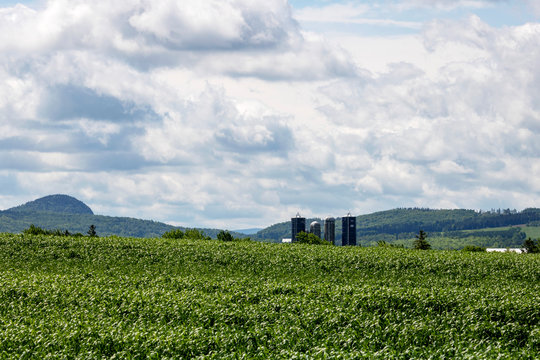 Campagne des cantons de l'est, Estrie, Sherbrooke, Qu&eacute;bec