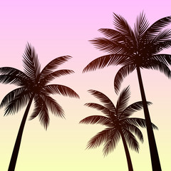 Obraz na płótnie Canvas Silhouette palm trees background