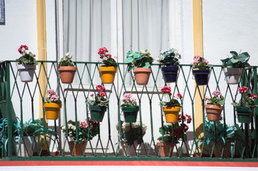 A  typical andalusian balcony full of pot flowers in Seville, Spain