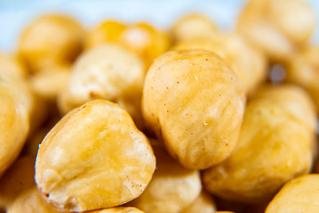 Hazelnut. Fresh organic peeled filbert isolated on white background. Nut macro. Collection. Full depth of field.