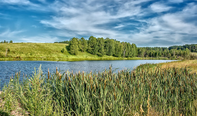 river landscape on summer day