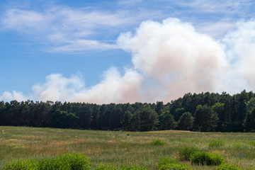Fototapeta na wymiar Rauchsäule bei einem Waldbrand