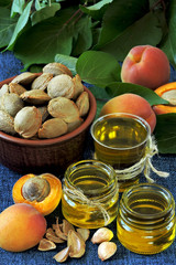 Apricot kernel oil. Apricot oil extraction concept. Healthy diet.