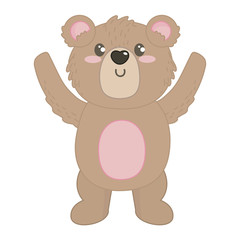 Isolated bear cartoon design vector illustrator