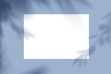 Fototapeta premium nature landscape, summer frame and free space for text, summer background