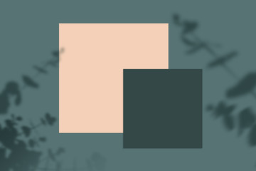 Fototapeta premium nature landscape, summer frame and free space for text, summer background