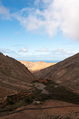 View on the valley, ocean in the background. Fuerteventura, Canary Islands, Spain. 