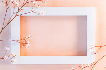 White wooden frame on a coral textured background with small flowers - a template for a greeting...
