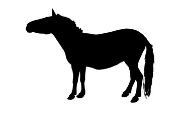 Black Silhouette Horse Vector illustration eps 10