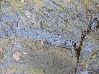 Wet stone background or texture.