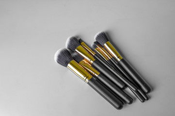 Professional makeup brushes