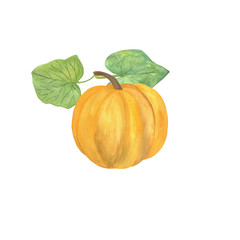 Original hand drawn watercolor pumpkin for halloween and autumn celebrations, isolated object on the white background, healthy food element, clipart useful for halloween party decoration