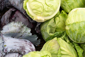 Obraz premium head of cabbage