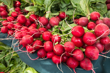 bunches of red radishes with greens against a blue cloth