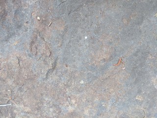 Colorful sand stone by a river. Background, texture, or blending element.