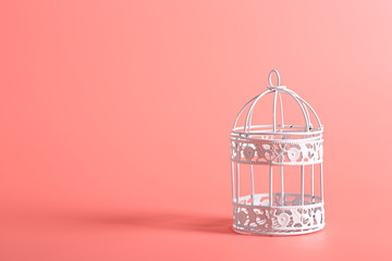 white decorative iron bird cage on a pink background