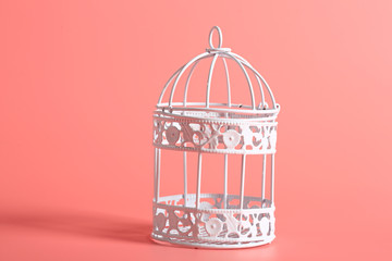 white decorative iron bird cage on a pink background