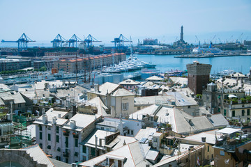 Obraz premium Roofs of the historic center of Genoa Italy