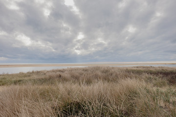 Gray skies over tall grasses and weathered fence on Chappaquidick island
