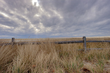 Gray skies over tall grasses and weathered fence on Chappaquidick island