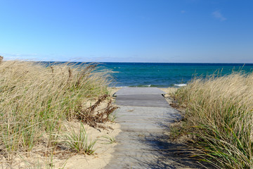Pathway to Shark beach on Martha&rsquo;s Vineyard island