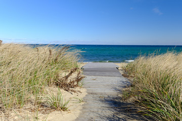 Pathway to Shark beach on Martha’s Vineyard island