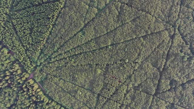 Landschaften in Hessen aus der Luft